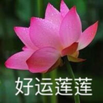 攻沙战白虎游戏下载