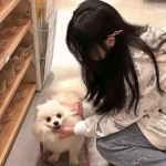 火枪纪元金币破解版下载